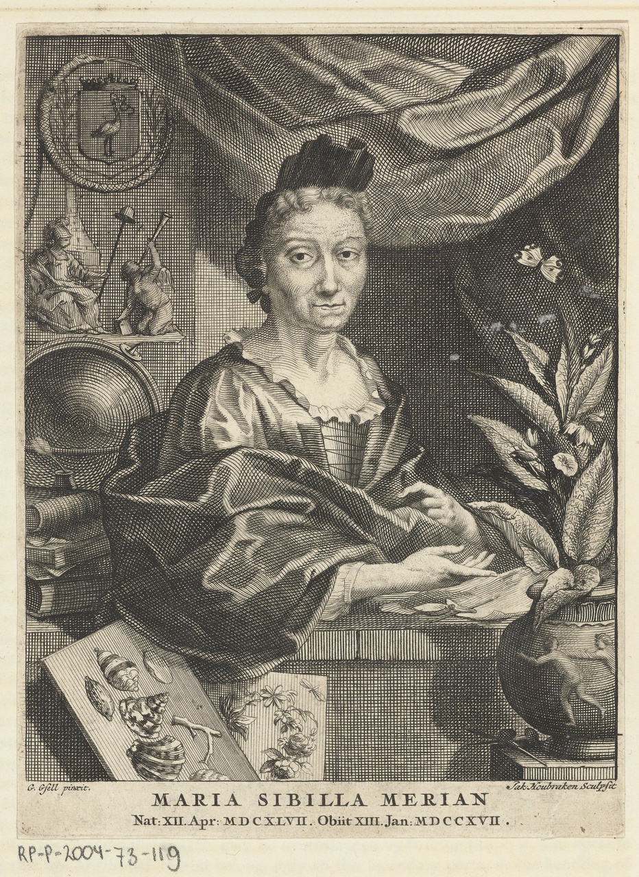 2/7 - Jacob Houbraken (prentmaker) en Georg Gsell (naar schilderij van), Portret van Maria Sibylla Merian, 1708-1780, gravure. Collectie Rijksmuseum Amsterdam.